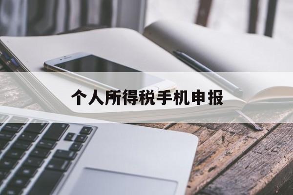 个人所得税手机申报(个人所得税手机申报流程图解)